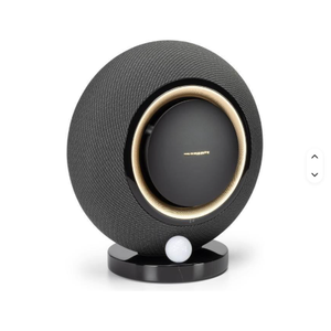 ระบบไร้สาย Horizon รุ่นใหม่ล่าสุด พร้อม AirPlay 2 รับประกัน 2 ปี สำหรับงานซ่อมยานยนต์และโครงสร้างพื้นฐาน - Product Image 6