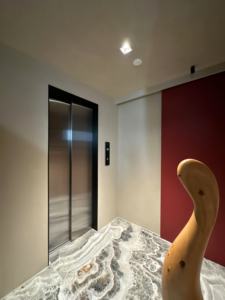 Ev Asansörü Hidrolik Ev İçi Asansör Fiyatı 2/3/4 Katlı İç Mekan Dış Mekan Küçük Ev Asansörü 2 Kişilik - Product Image 5