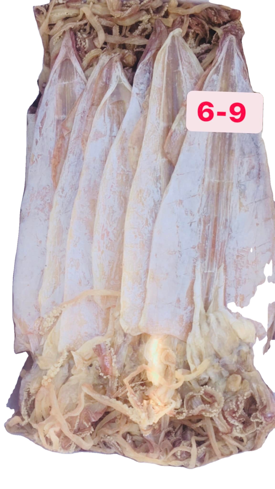 Hot Selling Special Dried Squid (7-10 pieces/kg) from Vietnam | Dried Squid | Cheap Price | Cuttlefish