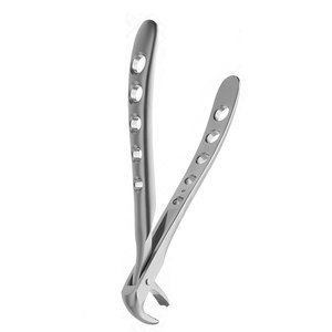 Pinzas de Extracción Tipo Berten PLUS 73 de Calidad Premium, Instrumento Quirúrgico Dental de Acero Inoxidable Alemán para Extracción de Dientes - Product Image 4