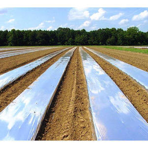 Custom Cut HDPE Olive Harvest <b>Net</b> Industrial Plastic Blow Molding 8G GSM 1mm X 1mm <b>Mesh</b> Black FORTUNE AGRO - Product Image 4