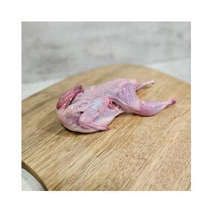 ขายส่งนกกระทาแช่แข็งคุณภาพส่งออก ฮาลาล นกกระทาสดแช่แข็ง มีจำหน่ายในปริมาณมาก - Product Image 1