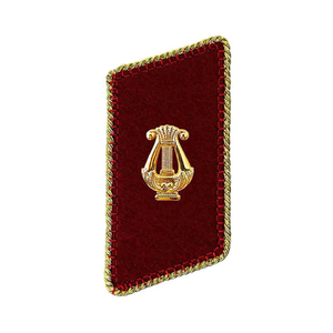 Custom Rank Badge Sew-On Patch Gold Lyre Insignia <b>Red</b> Velvet Rectangle Shape Uniform Decorations - Product Image 5