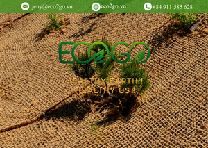 Eco2go Vietnam Filet en fibre de coco durable |   Tissu en fibre de coco naturelle 400-900 GSM pour le contrôle de l'érosion des sols, l'aménagement paysager et l'agriculture - Product Image 2