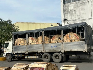 Gaine FR-PVC ignifuge, conducteur en cuivre ISO, gaine CADIVI fabriquée au Vietnam, CVV/FR IEC pour câbles d'alimentation à bande de mica - Product Image 4