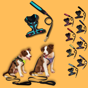 Ensemble de harnais personnalisé anti-traction pour chiots et chats, harnais de luxe réglable et abordable pour chiots et chats, fournitures pour animaux de compagnie avec logo OEM personnalisé - Product Image 1
