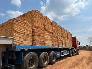 Placage de bois de caoutchouc du Vietnam 100 % naturel, coupé rotativement, écologique et durable pour la fabrication de contreplaqué - Product Image 6