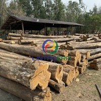 Bûches de teck doré de qualité supérieure en provenance de Thaïlande pour la fabrication de meubles, la menuiserie ou la construction
