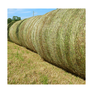 Heno de Pasto Rhodes de Primera Calidad, Suministro a Granel para Alimentación Animal, Entrega Rápida - Product Image 4