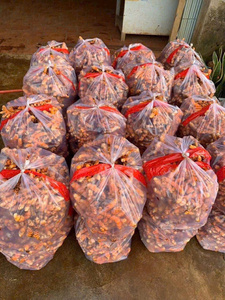 Advanced Processed Turmeric <b>Starch</b> Powder Fine Mesh for Better Absorption High Curcumin Bioavailability Wholesale Factory - Product Image 3