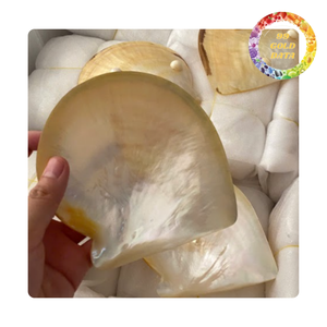 Handmade Polished Shell Plate Decorative Mother of Pearl Plate for Home Decor - Product Image 6