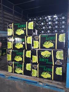 Citron vert frais du Vietnam sans pépins Meilleur prix - Directement de l'usine Melina - Product Image 4