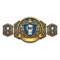 Ceinture de championnat personnalisée All Star Game Tournament Title Heavyweight, finition dorée, plaque métallique gravée, cuir véritable