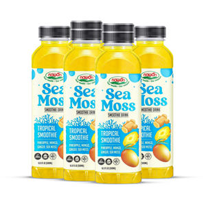 Smoothie Best Selling Tropical Fruit Drink Pineapple Mango Ginger <b>Blend</b> For Importers Retail Supply Chain Resellers - Product Image 2