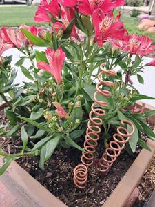 Varilla de cobre duradera para electrocultivo en jardín, para plantas saludables y mejora de la vitalidad del suelo, de fabricante y proveedor indio. - Product Image 6