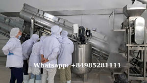 Poudre de noix de coco séchée biologique Fruits conservés sucrés du Vietnam Processus de séchage d'huile naturelle Catégorie de fruits Fruits secs - Product Image 6