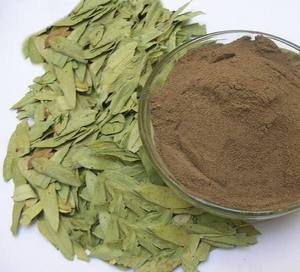 Extracto de Senna 20%, Extracto de Hoja de Cassia Angustifolia en Polvo, Extracto de Planta Herbal para Venta al Por Mayor - Product Image 1