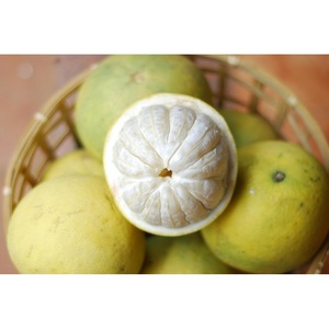 Pomelo DOAN HUNG dal Vietnam, Specialità Tradizionale, Dolce, Succoso e Fornitura all'Ingrosso per l'Esportazione - Product Image 4