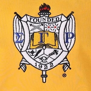 Sweat-shirt à col rond en chenille avec crête Sigma Gamma Rho pour femme, doré et bleu, avec poche raglan, pull de sororité - Product Image 3