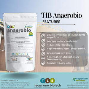 Bactéries pour une décomposition efficace des boues organiques dans les réacteurs anaérobies - Product Image 2