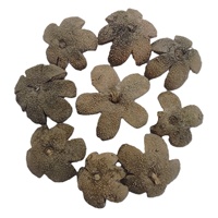 Coque de fleur botanique Kartoos, matériau végétal naturel séché, écologique, pour pot-pourri et décoration pour toutes les occasions