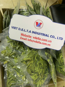 Hojas de Limón Secas |   Proveedor de Vietnam |   Calidad Premium |   Exportación a granel - Product Image 4