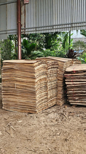 <b>Eucalyptus</b> Rotary Cut Core Veneer Durable & Eco-Friendly 1270mm Length Industrial Design for Plywood Industry - Product Image 5