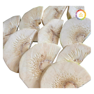 Trozos de Fruta de Pan Congelados de Alta Consistencia, Fáciles de Almacenar y Transportar - Product Image 5