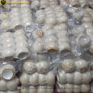 ถ้วยขนมเปลือกมะพร้าวธรรมชาติแบบแช่แข็ง IQF - Product Image 5