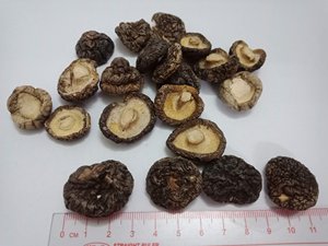 FACTORY PRICE Dried Shiitake Mushroom HOT SELLING Multi-Size 2-5cm 1-2cm Thick Caps Vietnam Origin No Additives Export Standard - Product Image 6