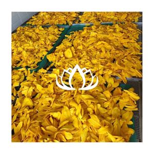 HIGH QUALITY 2026 <b>Dried</b> <b>Mango</b> Strips Sweet Flavor, Great for Snack and Smoothie Mix, Carefully Selected, Safe Use, Ready Stock - Product Image 1