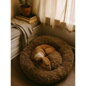 Cuccia per Animali Domestici Super Morbida e Calda, Extra Imbottita come una Nuvola, per Cani e Gatti a Pelo Lungo, con Imbottitura Abbondante, Qualità Premium - Product Image 6