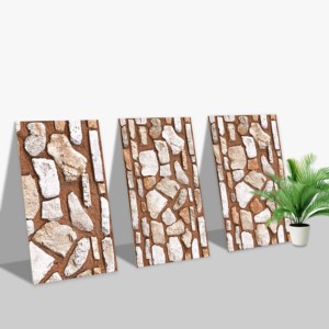 Carreaux muraux Premium Choice de qualité supérieure, carreaux d'élévation Asia Tiles 300x600mm pour articles de santé. - Product Image 1