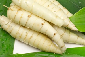 Poudre d'arrowroot de haute pureté – Ingrédient alimentaire naturel du Vietnam, export en vrac - Product Image 4