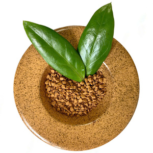 [Meilleure Vente 2026] Café Instantané Lyophilisé DHPONE de Haute Qualité 100% Robusta Goût Neutre Vietnam Dak Lak Grade A - Product Image 2