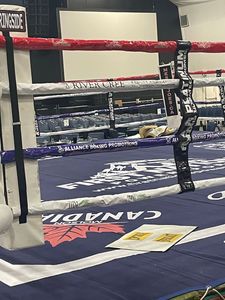 Cubierta de Lona para Ring de Boxeo IRSA SPORTS Personalizada, Cubierta de Piso de PVC/Vinilo Resistente, Modelo IRSA-254801, Equipo de Gimnasio OEM - Product Image 2