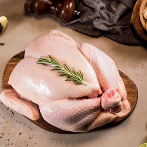 ไก่แช่แข็งทั้งตัวสำหรับอุตสาหกรรมอาหาร ทำความสะอาดและตัดแต่งแล้ว มีจำหน่ายจำนวนมาก พร้อมรับผลิตแบบ OEM - Product Image 1