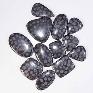 Quartz noir fossile naturel, semi-précieux, cabochon ovale lisse en forme de poire, pierre précieuse non traitée, taille personnalisable, fournisseur - Product Image 3