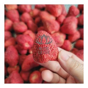 สตรอว์เบอร์รีฟรีซดรายขายดีอันดับต้นๆ ปี 2026 สำหรับเตรียมอาหารและสมูทตี้ ผลไม้เขตร้อนแท้ สะอาด ปลอดภัย อุดมด้วยสารอาหาร แพ็คผลไม้ - Product Image 1