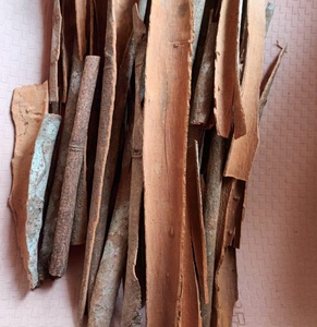 Canela marrón cruda seca AD de primera calidad para la preparación de condimentos alimenticios, directo de fábrica - Product Image 3