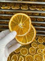 Gedroogde sinaasappelschijfjes, fruitthee ingrediënt, Citrus Sinensis, gedroogde sinaasappelwiel, bulk, gele schil, gesneden sinaasappel