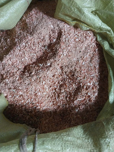 Cabeza de Camarón Seca (En Polvo/Entera)/ MEJOR PRECIO/Kelvin Lê: +84 81 858 5236 - Product Image 5