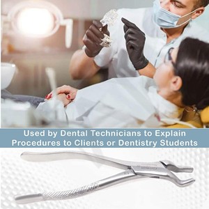 Pinza de Extracción Reutilizable de la Mejor Calidad, Certificada por la CE, Herramientas Quirúrgicas de Ortodoncia Profesionales, Acero Inoxidable Premium Dental - Product Image 6