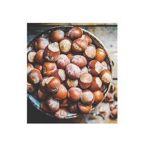 Nueces de avellana crudas/secas de alta calidad al por mayor - Product Image 5