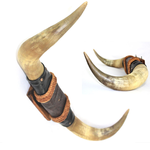 Décoration d'intérieur en corne de buffle naturelle, design en cuir, vente en gros, qualité supérieure, corne décorative faite à la main - Product Image 1