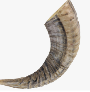 Jouet à mâcher pour chien en corne de buffle - Écologique, haute qualité, extra large, coupe Tuffie, personnalisable - Product Image 1