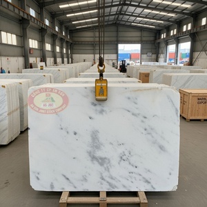 Good Quality Vietnamese Natural Calcite <b>Marble</b> Polished Modern Villa Use Pure White/Crystal White/Snow White 60x60x2cm Slab - Product Image 2