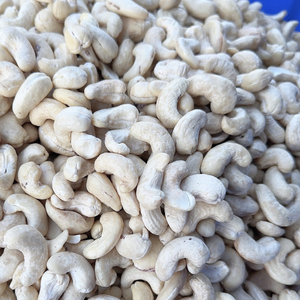 Oferta Especial 2025: Nueces de Anacardo W180 W320 Santigo, Venta al por Mayor de Nueces de Anacardo, Listas para Enviar - Product Image 1