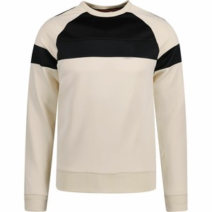 Men's Cream Color Blocking Raglan Sleeve Crew Neck Pullover Sweatshirt Regular Fit Casual Knitted Autumn Wear Lightweight OEM - Product Image 2