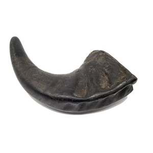 Buffalo Hollow Horn Raw Animal Eco-Friendly Chew Toy for Dogs-Premium Teeth Cleaning & Durable - Product Image 4